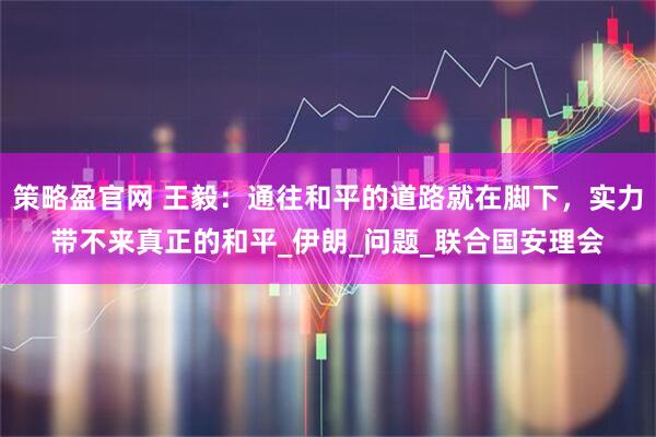 策略盈官网 王毅：通往和平的道路就在脚下，实力带不来真正的和平_伊朗_问题_联合国安理会