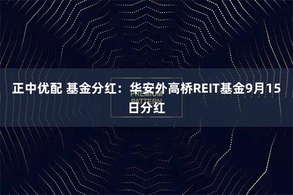 正中优配 基金分红：华安外高桥REIT基金9月15日分红
